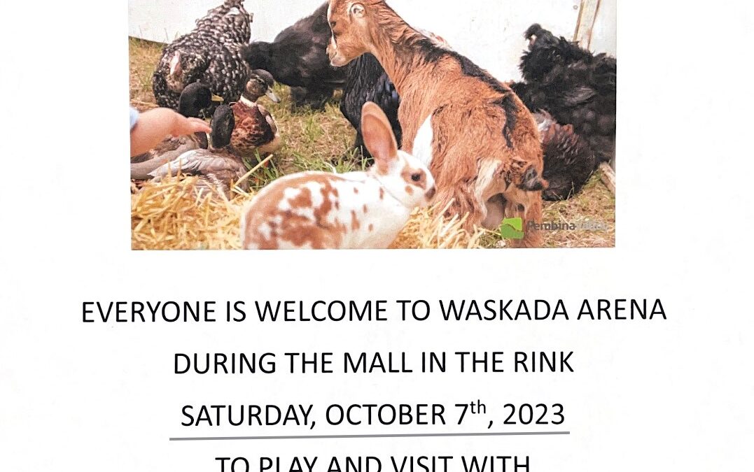 petting zoo for mall in the hall23