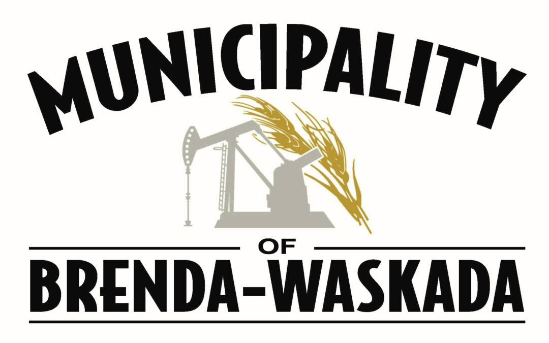 waskada logo